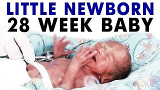 Little newborn premature 28 weeks baby 7 month baby [upl. by Birkle]