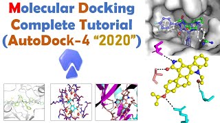 Molecular docking for Beginners  Autodock Full Tutorial  Bioinformatics [upl. by Levey676]