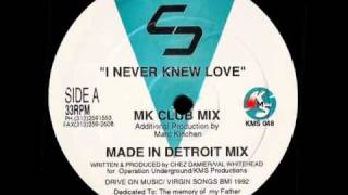 Chez Damier  I Never Knew Love MK Club Mix [upl. by Yeldahc666]