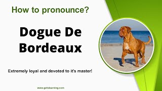 How to pronounce Dogue De Bordeaux in English correctly [upl. by Broucek740]