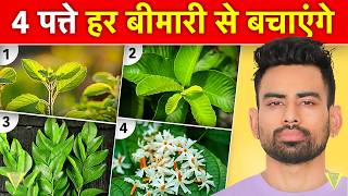 ये पत्ते आपको सैकड़ो बीमारियों से बचाएंगे  Most Effective Leaves For Good health  Fit Tuber Hindi [upl. by Velick295]