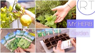 Herb Garden Tour  DIY Garden Starting Ideas [upl. by Riancho]