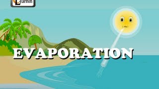 Evaporation  Elementary Science [upl. by Oigaib]