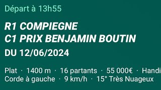 Yan Pronostic Pmu Quinté Du mercredi 12 juin 2024 🍀 [upl. by Jarrad]