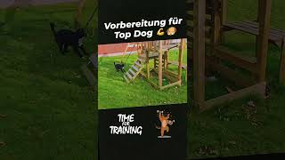 Vorbereitung für Top Dog [upl. by Frances248]