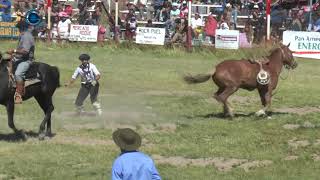 44º festival de doma y folklore  Sarmiento  Chubut 2017 [upl. by Widera681]