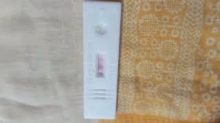 how to take pregnancy test at home pregnancy test live positive result [upl. by Kathrine]