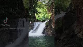 Daligan Falls Sta Cruz Ilocos Sur waterfall [upl. by Ynohtnaleahcim894]