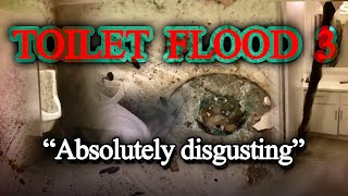 TOILET FLOOD COMPILATION 3 [upl. by Sinai191]