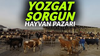 2024 Yılı Yozgat Sorgun Hayvan Pazarı  Kurbana Son 2 Ay [upl. by Enileoj12]