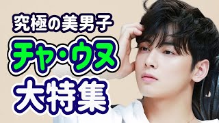 圧巻の顔天才 チャ･ウヌ徹底解説／Cha Eunwoo／ASTRO／韓国ドラマ／韓流／女神降臨／私のIDはカンナム美人 [upl. by Aleras]