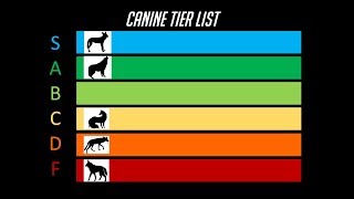 The Dog Tier List [upl. by Brena]