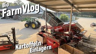 Erst geht voran mit den Kartoffeln 🥔 wenig Zeit und viel Stress  Vlog 122 [upl. by Clerk]