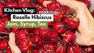 Roselle Hibiscus Harvesting making Jam Syrup amp Tea  Kitchen Vlog [upl. by Amethist]