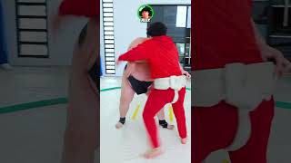 4 People VS 800LBS Sumo Wrestler [upl. by Gaivn]