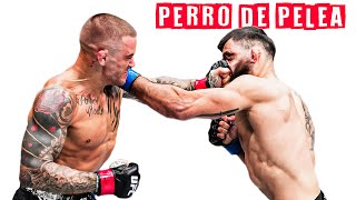 Dustin Poirier es un PERRO de PELEA [upl. by Nassi8]