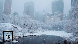 Snowfall in Central Park New York  Walking in Central Park in the Winter Snow [upl. by Heiskell]