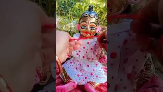 Laddugopal snan shringar❤laddugopal status krishna gopal ytshrots viral short video trending [upl. by Enautna]