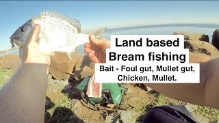 BREAM FISHING basics land based with bait Australia [upl. by Ragg540]