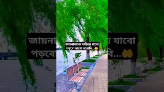 জায়নামাজে দাঁড়িয়ে যাবো পড়বো মাগো তারাবি 🤲islamicvideo shortfeed fypシ゚viral [upl. by Bolanger435]