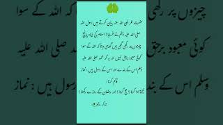 اسلام کی بنیاد پانچ چیزوں پر ہے shortsvideo viralvideo alhamdullillah [upl. by Eetak535]