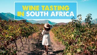 SOUTH AFRICA WINE TOURS Stellenbosch amp Franschhoek [upl. by Kronfeld]