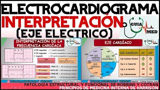 ELECTROCARDIOGRAMA INTERPRETACIÓN  GuiaMed [upl. by Blood108]