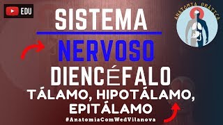 Diencéfalo Tálamo  Hipotálamo  Epitálamo  Sistema Nervoso  Anatomia Prática  VideoAula [upl. by Davina603]