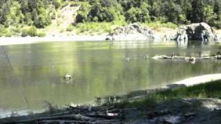 Klamath River Steelhead Adventure [upl. by Muncey]