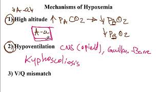 USMLE ACE Video 239 Mechanisms of Hypoxemia and Aa Oxygen Gradient Analysis [upl. by Jollanta509]