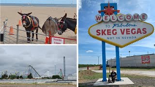 Holiday Vlog to Skegness amp Ingoldmells  Hardys Animal Farm Park  Pleasure Beach amp More Fun [upl. by Anaeerb]