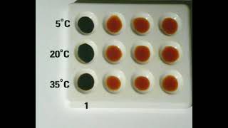 GCSE Science Revision  Temperature and Digestive Enzymes [upl. by Lasko]