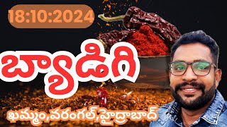 18 October 2024 బ్యాడీగిమార్కెట్గుంటూరుమార్కెట్ తెలంగాణమార్కెట్అన్నీరకాలరేట్లుmd hasan agri tech [upl. by Goldie]