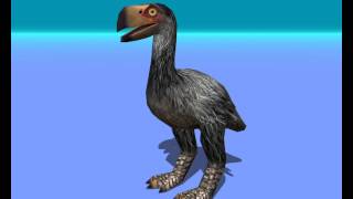 Gastornis sometimes known as Diatryma Animated Dinosaur  Unity Asset Store [upl. by Mcginnis155]