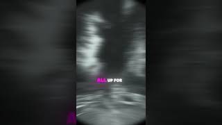 szadoves in the wind music sza rnb pop foryoupage edit capcut [upl. by Aspa]