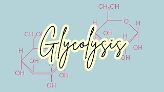 Glycolysis song [upl. by Euqinwahs]