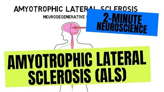 2Minute Neuroscience Amyotrophic Lateral Sclerosis ALS [upl. by Ecinad685]