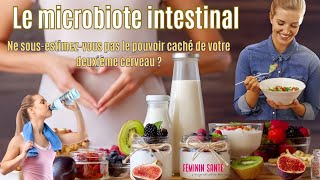 Le microbiote intestinal  Ne sousestimezvous pas le pouvoir caché de votre deuxième cerveau [upl. by Goer]