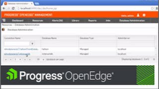 Loading data definitions and table contents into a Progress OpenEdge multi tenant database [upl. by Maiga137]