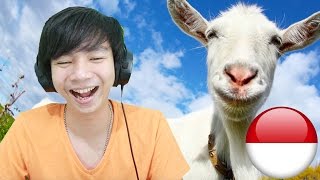 Goat Simulator in real life [upl. by Arima]