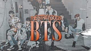 「BTS」THE STRAY DOGSAU [upl. by Hyozo707]