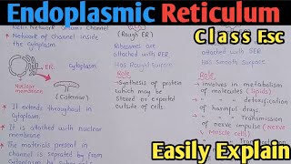 Endoplasmic Reticulum Structure And Functions  Class 11 Biology [upl. by Winne]