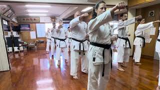 Pinan Nidan slow  Kyudokan Izumizaki Dojo Okinawa [upl. by Whitcher66]