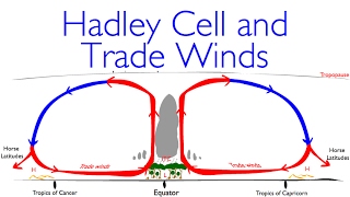 Geography Classics Hadley Cell Trade Winds and Deserts [upl. by Matthiew]