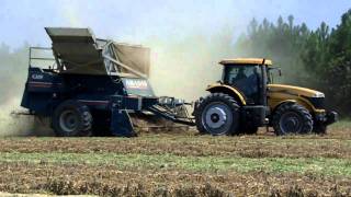 Challenger MT645C running a 6 row Amadas Peanut Combine [upl. by Gambrell]