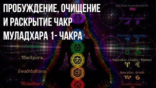 Чакры Муладхара 1я чакра ✻ Пробуждение Очищение и Раскрытие Чакр ॐ Целительная музыка [upl. by Drofnas]