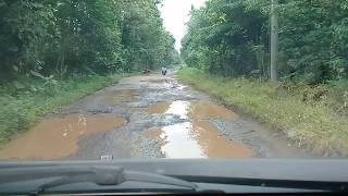 Jalan Desa Tebing  desa Tanjung Aji  Kecamatan Melinting Kabupaten Lampung Timur [upl. by Ihpen]