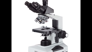 AmScope T490B Compound Trinocular Microscope 40X2000X Magnification [upl. by Steinke]