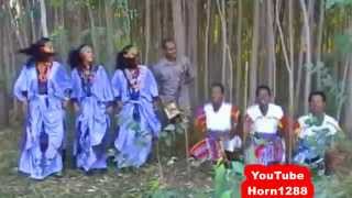 Ethiopian Traditional Music  ዋኘው አሸናፊ  እሪኩም [upl. by Hitt]