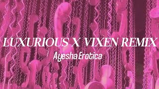 Ayesha Erotica  Luxurious X Vixen Remix Lyrics [upl. by Hamish]